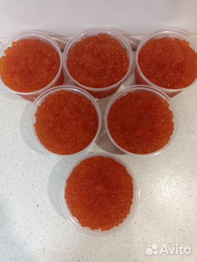 Икра кеты 2023 года