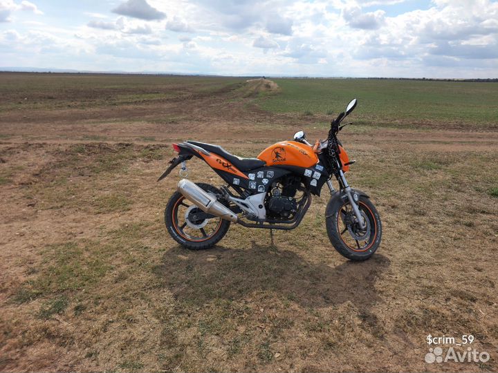 Stels flex 250