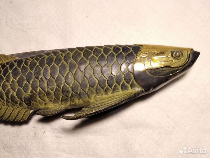 Рыба бронза