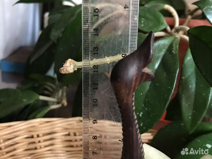 Статуэтки слоники