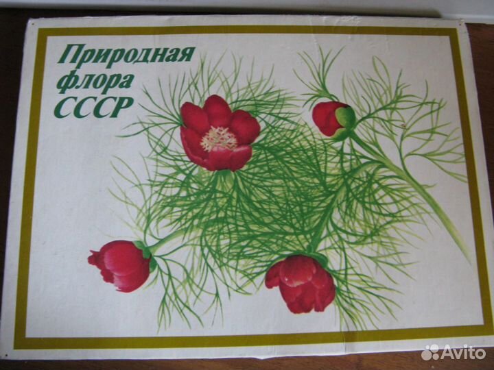 Набор спичечных коробков 