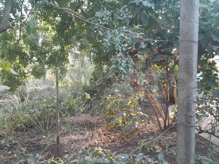 Участок 9 сот. (ИЖС)