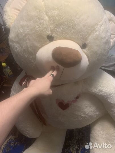 Большие плюшевые медведи
