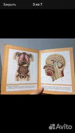 Биология 8 класс драгомилов