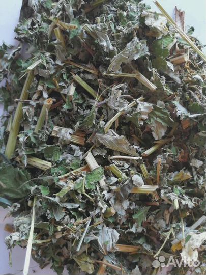 Лабазник (таволга) рублен 30-40 мм Алтай