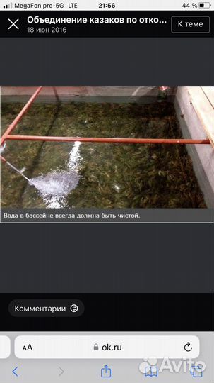 Ищу частного инвестора