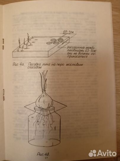 Огород - круглый год