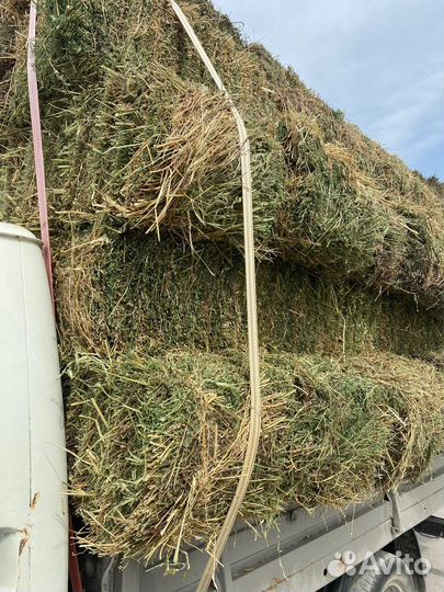 Сено в тюках