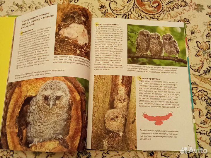 Детская энциклопедия