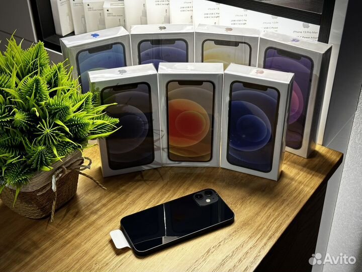iPhone 12 mini, 256 ГБ