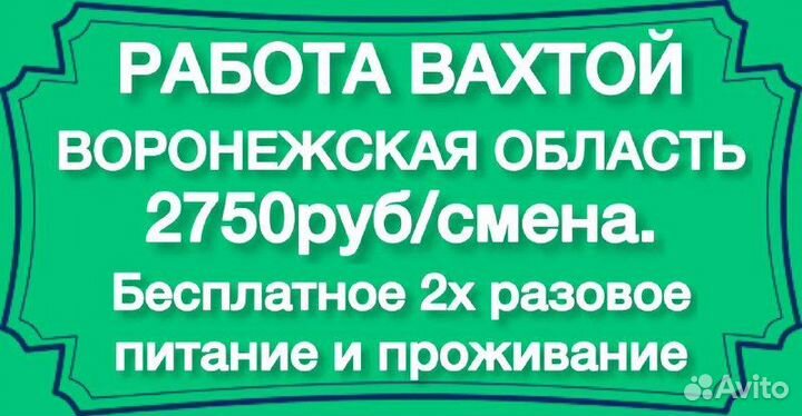 Разнорабочий с проживанием. Без опыта. Воронеж