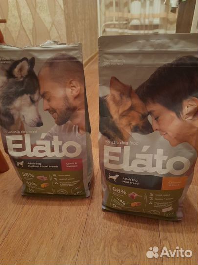 Корм для собак