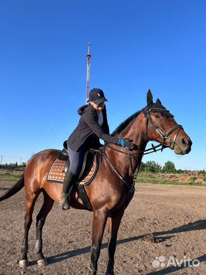 Кобыла для души