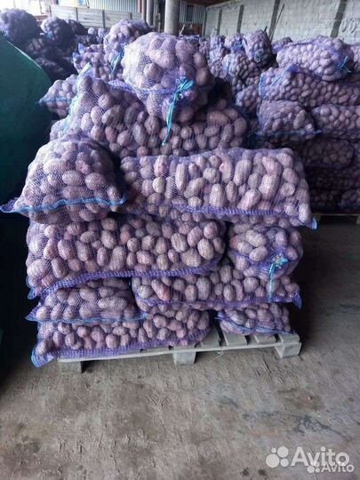 Продам картофель с доставкой