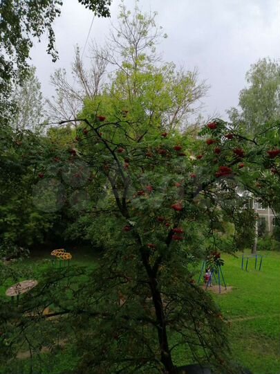 Участок 10 сот. (СНТ, ДНП)