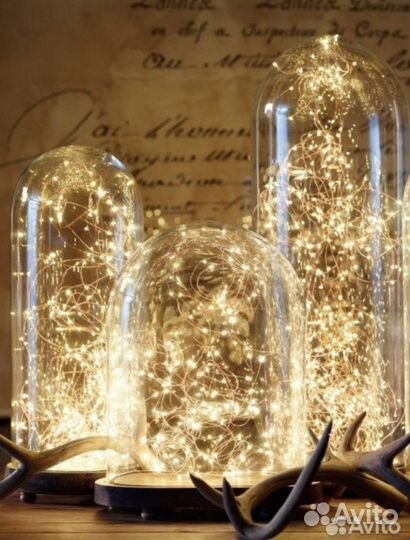 Стеклянный купол/клош/стеклянный купол для роз