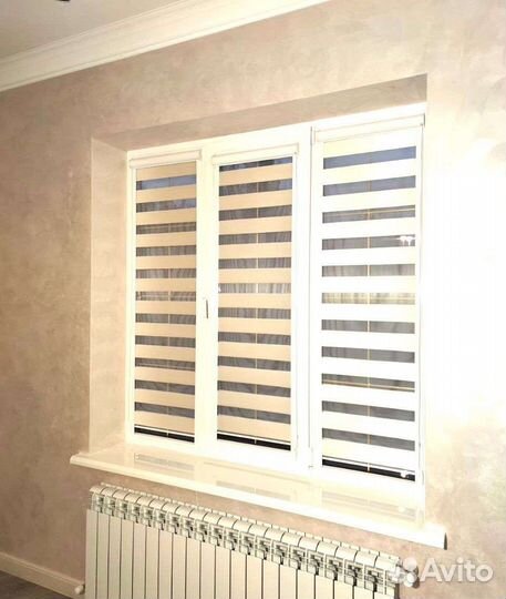 Зебра. день ночь