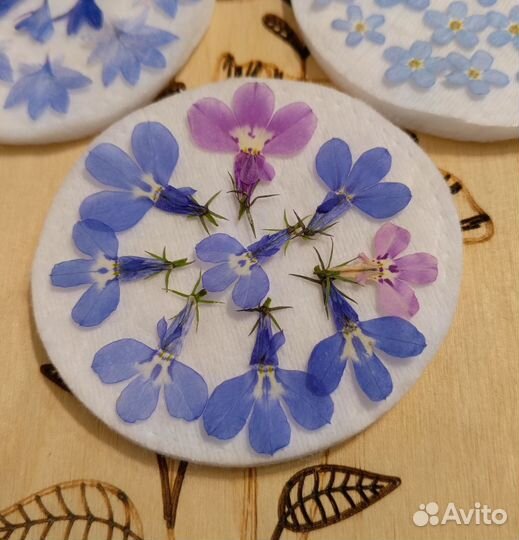 Сухоцветы плоской сушки(лобелия,василек,незабудка)