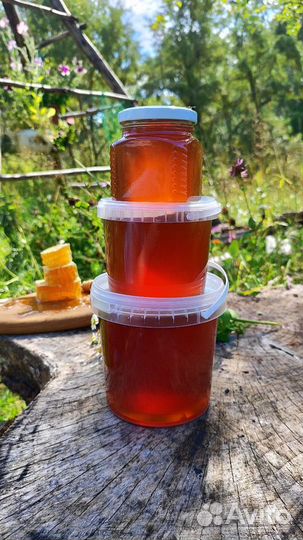 Предзаказ на свежий мед Псковское разнотравье