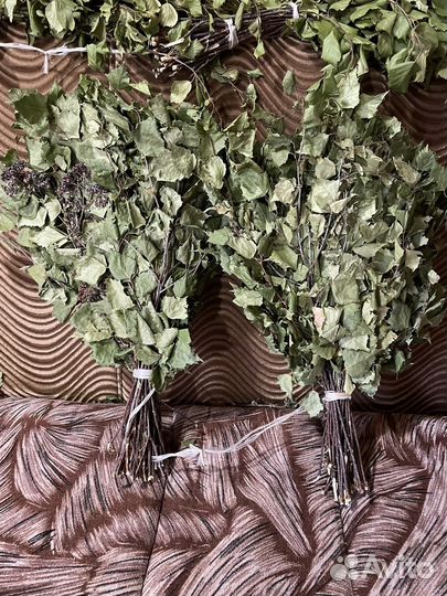 Березовые веники