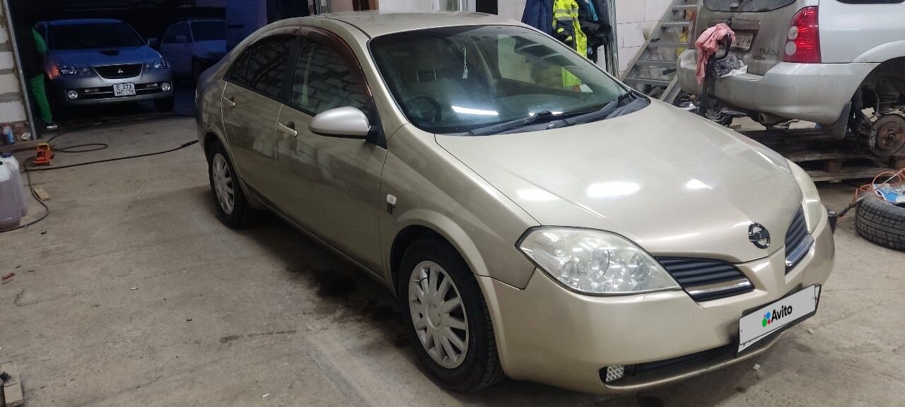 Nissan Primera: фото владельца
