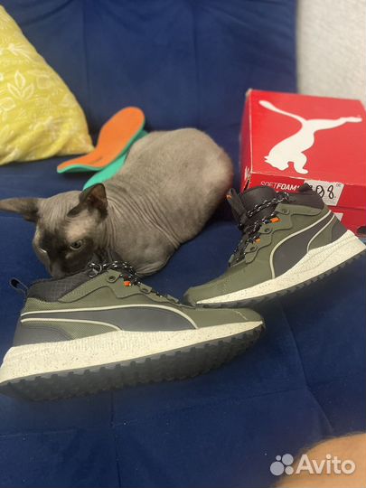 Зимние кросы Puma pecer next sb wtr.Оригинал