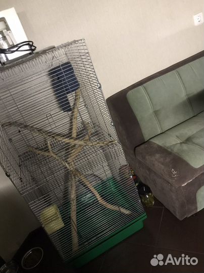 Клетка для шиншил или крыс или птиц