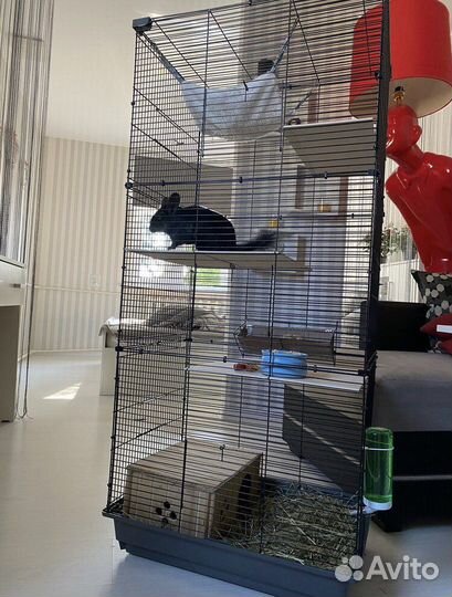 Домик Клетка для шиншилл и грызунов