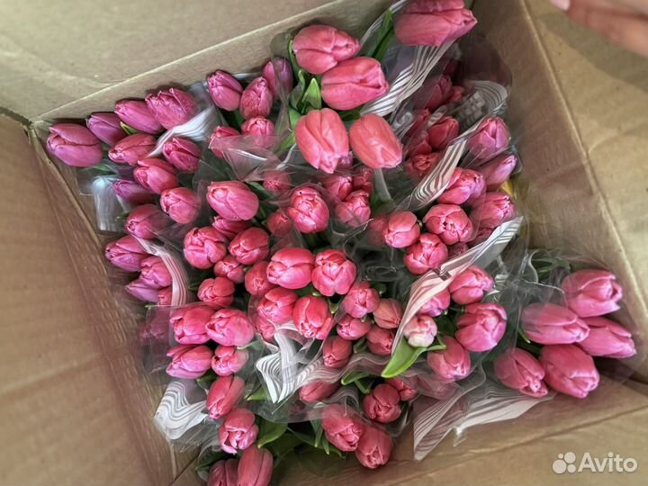 Тюльпаны к 8 марта букет