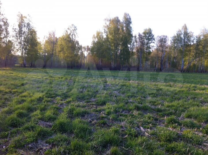 Участок 6,7 га (СНТ, ДНП)