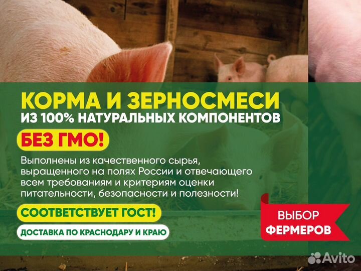 Комбикорм для свиней