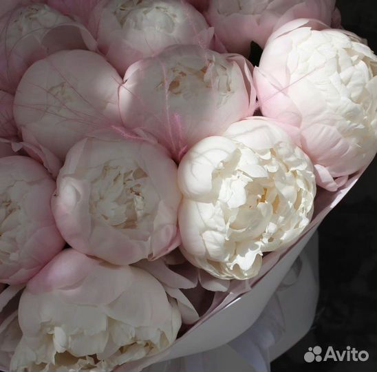 Пионы букет цветов с доставкой