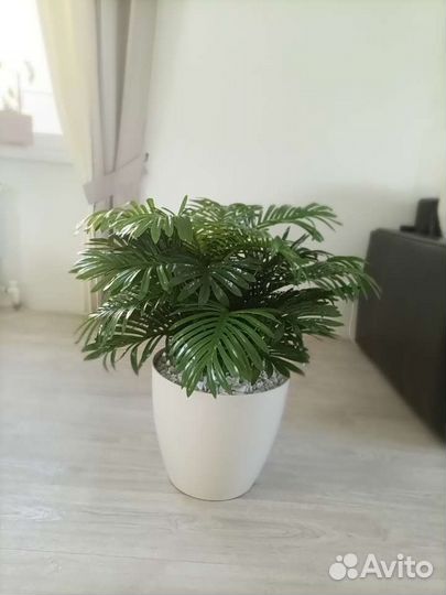Искусственная пальма
