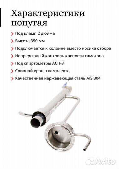 Попугай 2