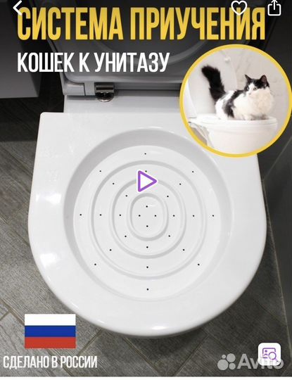 Приучение кошек к унитазу
