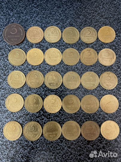 Погодовка РСФСР 1-20 копеек 1921-1957 год