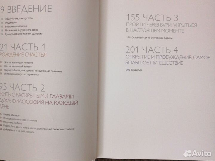 Джон Кабат-Зинн Искусство и медитация