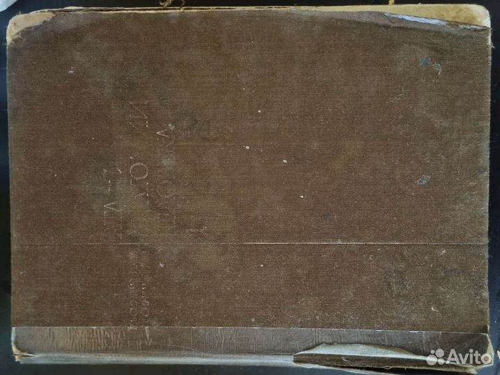 Атлас анатомии человека синельников