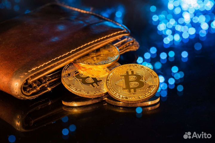 Криптокошельки