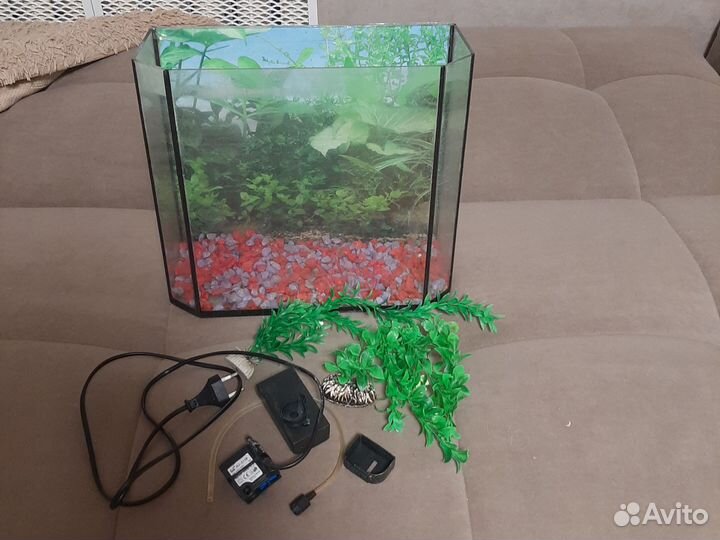 Аквариум