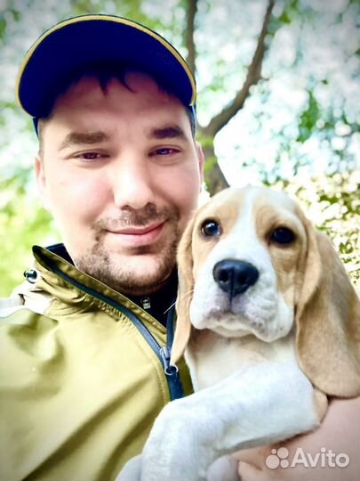 Дрессировка собак Кинолог зоопсихолог