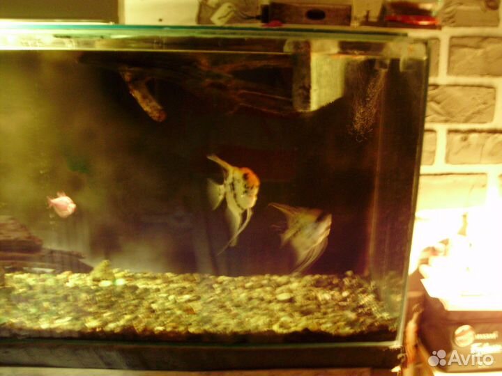 Аквариум