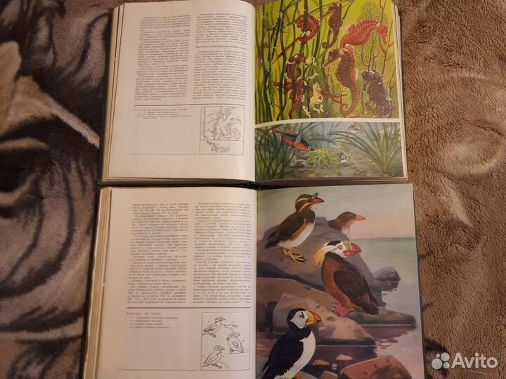 Книги о растениях и животных. Большие