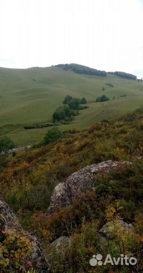 Экскурсионный тур на Алтай