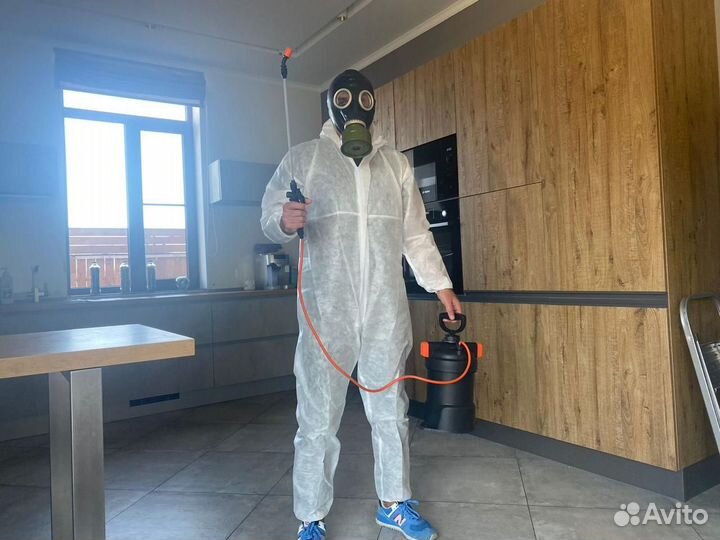 Дезинфекция квартир Уничтожение тараканов клопов м