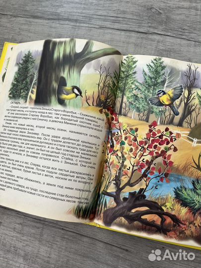 Книга детская