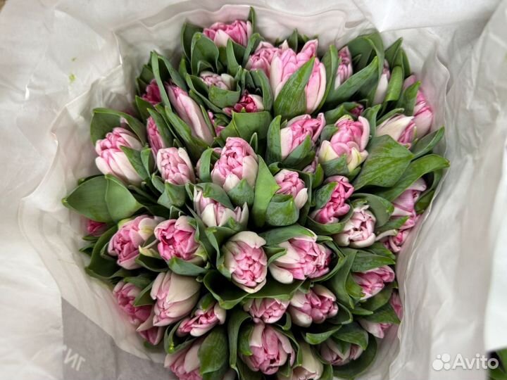 Тюльпаны с доставкой