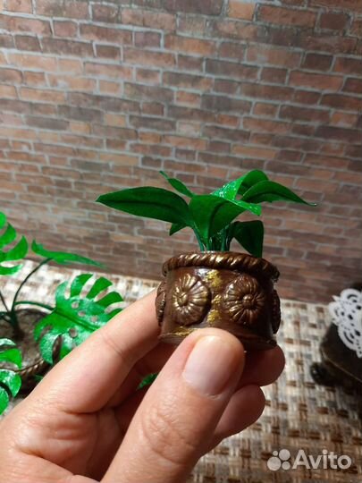 Набор комнатных растений,1:6