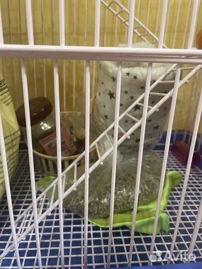 Клетка для грызунов крыс