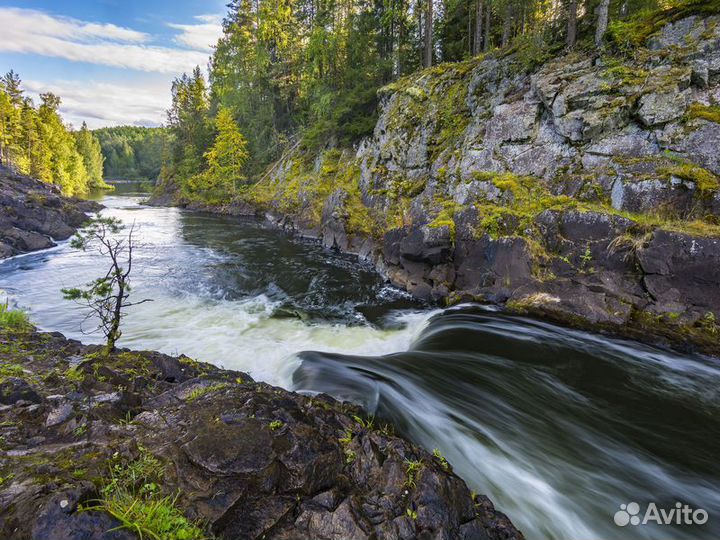 Экскурсия — Петрозаводск — Путешествие по Золотому